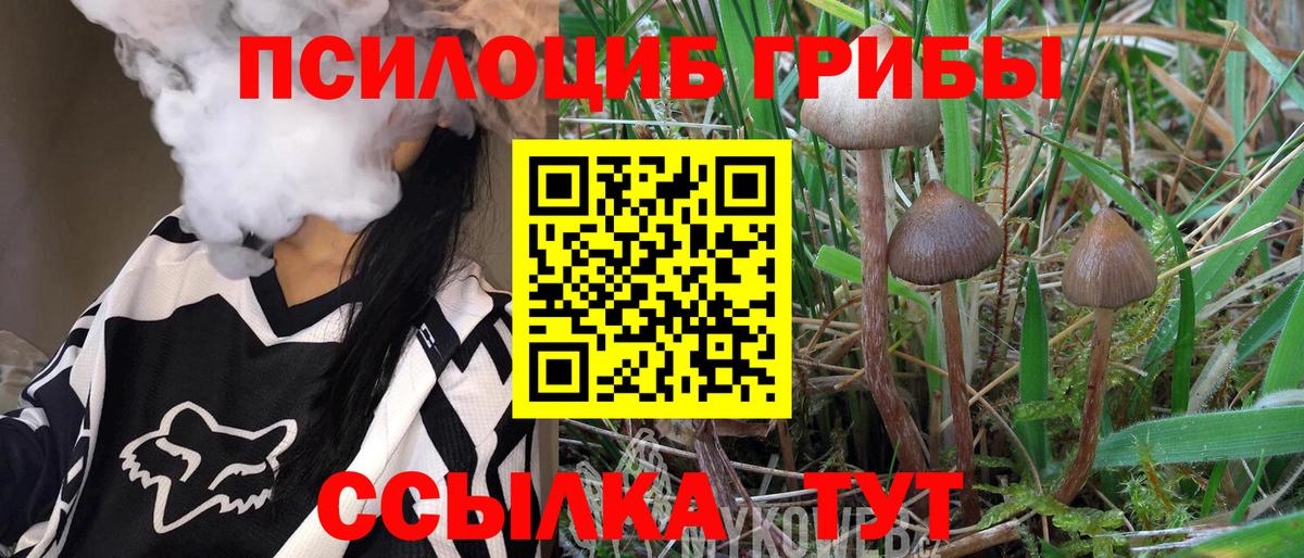 Галлюциногенные грибы Cubensis Чайковский