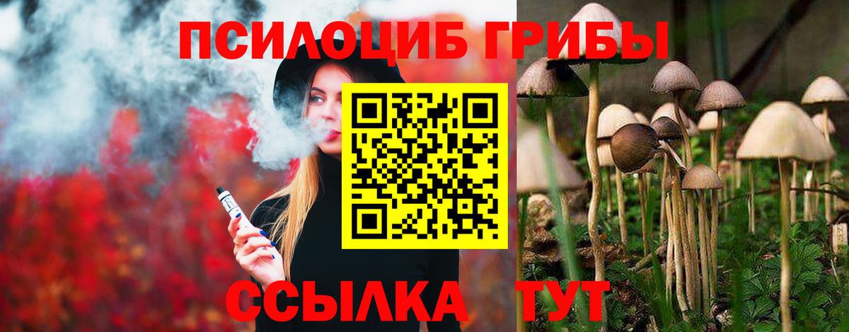 Галлюциногенные грибы мицелий  Псилоцибиновые грибы прущие грибы  Вход с VPN  Чайковский 